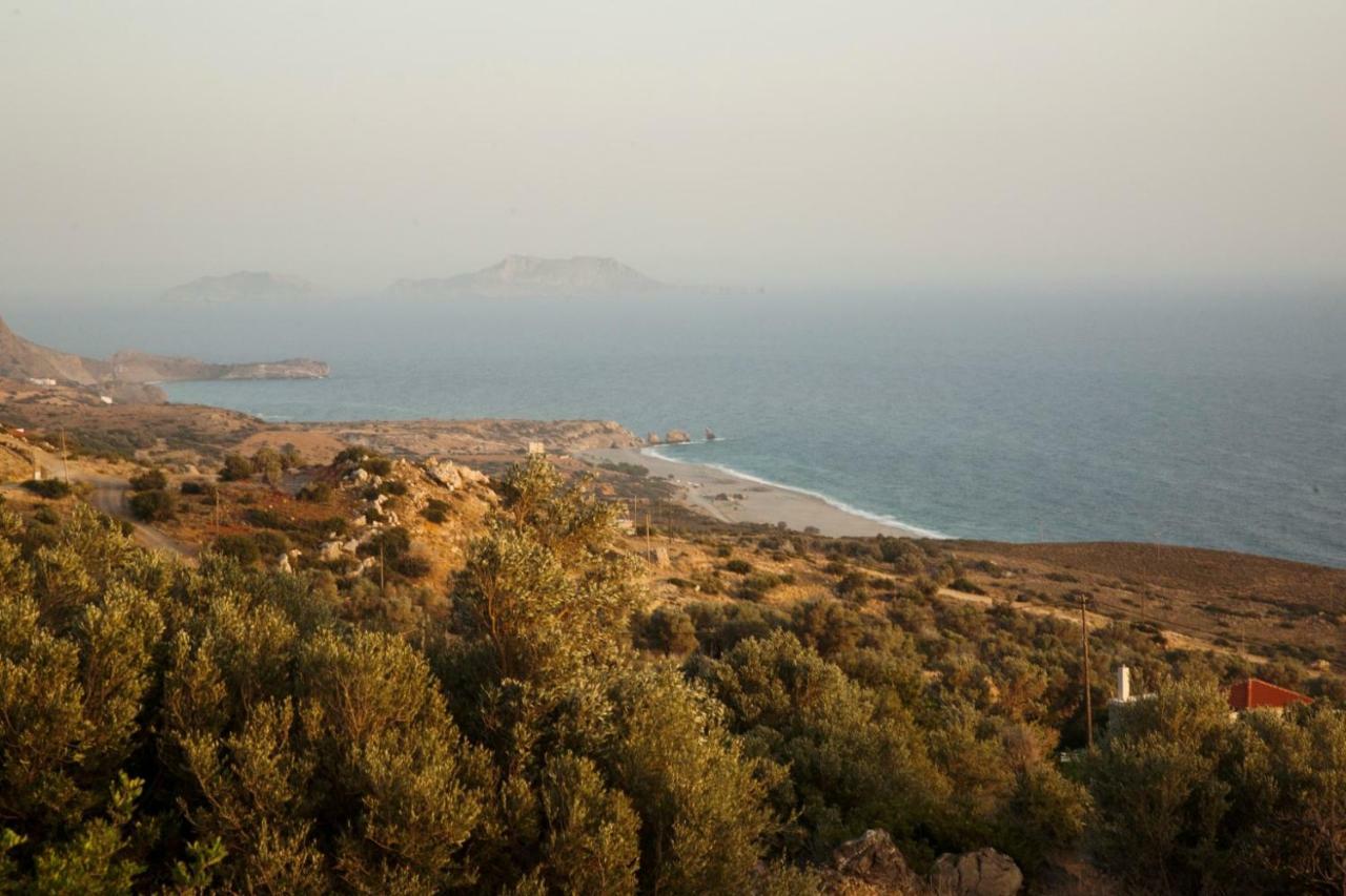 Alexandros Villa Agia Paraskevi  Buitenkant foto